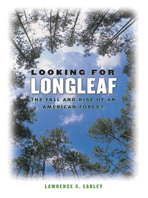 cover image of Looking for Longleaf